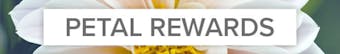Petal Points Reward Program